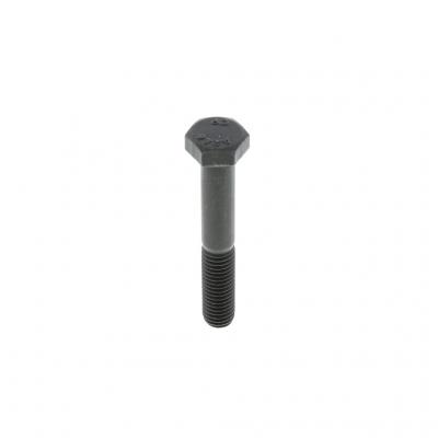 SCREW (Pack of 6)