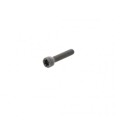 TORX HEAD CAPSCREW (Pack of 5)