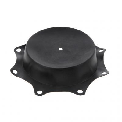 DIAPHRAGM