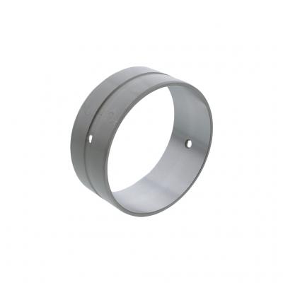 CAM BEARING