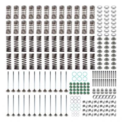 HEAD REBUILD KIT