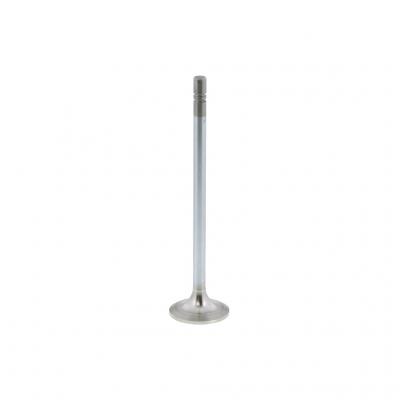 INTAKE VALVE (Pack of 2)