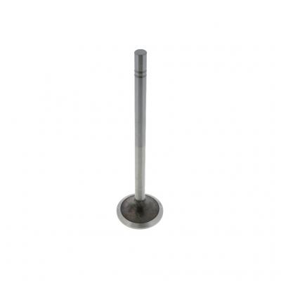 INTAKE VALVE (Pack of 2)