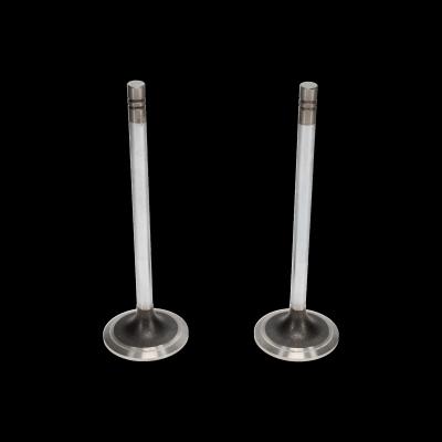INTAKE VALVE (Pack of 2)