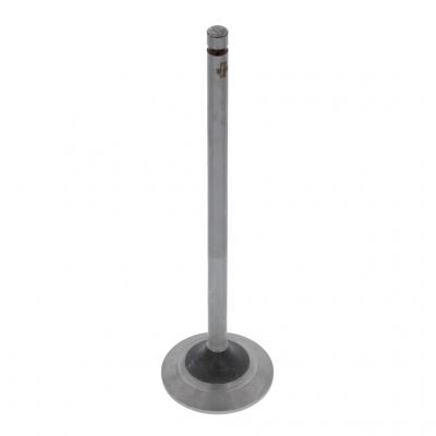 INTAKE VALVE (Pack of 2)