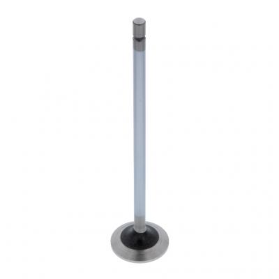 INTAKE VALVE (Pack of 2)