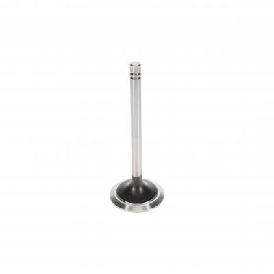 INTAKE VALVE (Pack of 2)