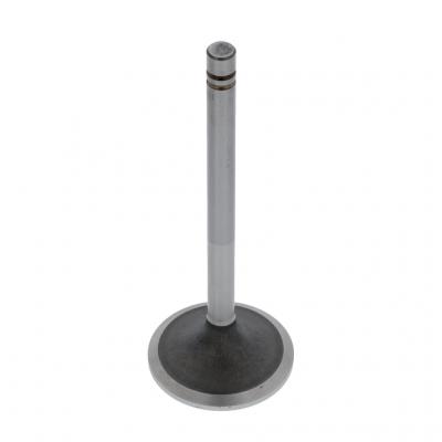 INTAKE VALVE (Pack of 2)