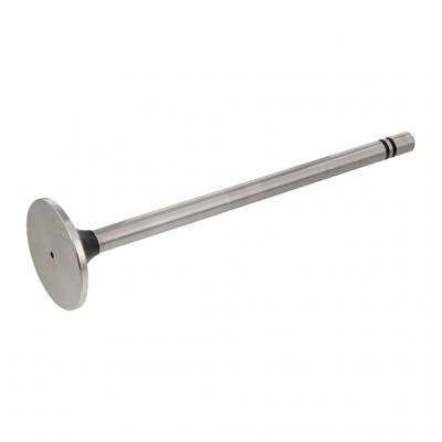 INTAKE VALVE (Pack of 2)