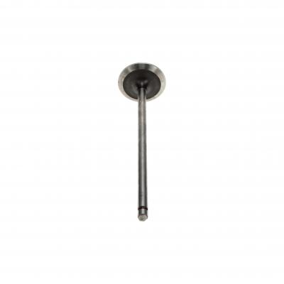 INTAKE VALVE (Pack of 2)