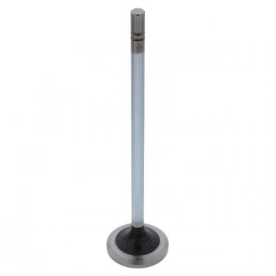 INTAKE VALVE (Pack of 2)
