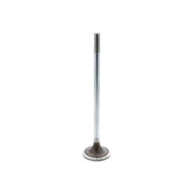 INTAKE VALVE (Pack of 2)