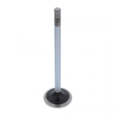 INTAKE VALVE (Pack of 2)