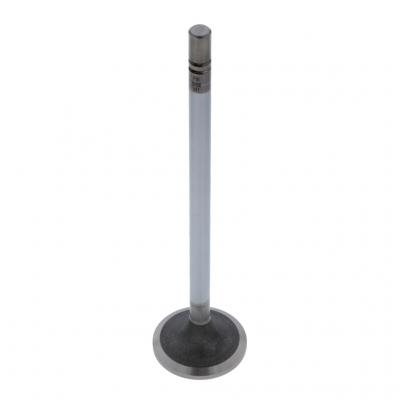 INTAKE VALVE (Pack of 2)