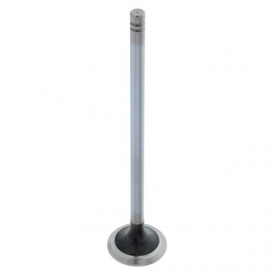 EXHAUST VALVE (Pack of 2)