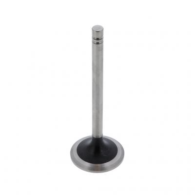 EXHAUST VALVE (Pack of 2)