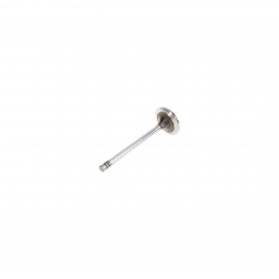 EXHAUST VALVE (Pack of 2)