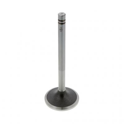 EXHAUST VALVE (Pack of 2)