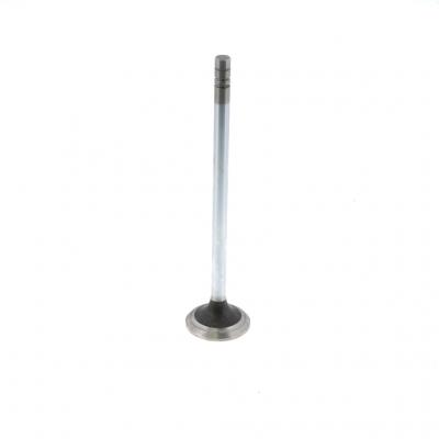 EXHAUST VALVE (Pack of 2)