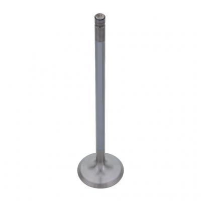 EXHAUST VALVE (Pack of 2)