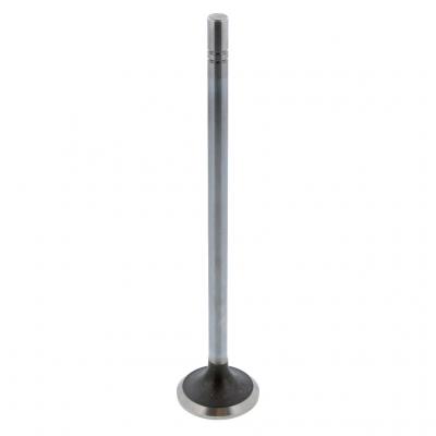 EXHAUST VALVE (Pack of 2)