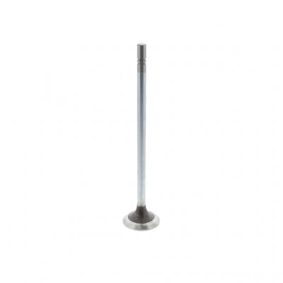EXHAUST VALVE (Pack of 2)