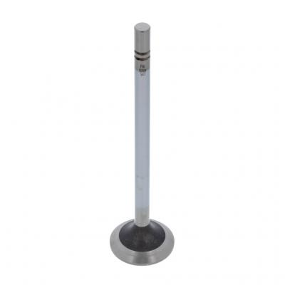 EXHAUST VALVE (Pack of 2)