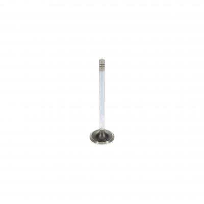 EXHAUST VALVE (Pack of 2)