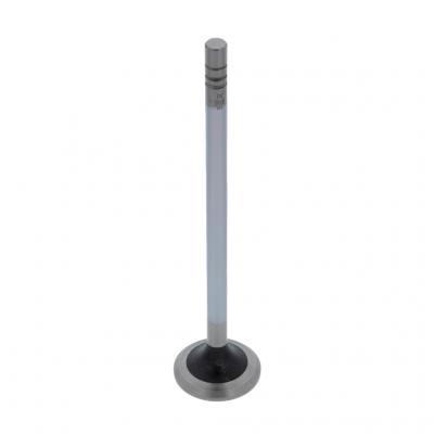 EXHAUST VALVE (Pack of 2)