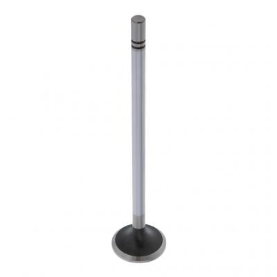 EXHAUST VALVE