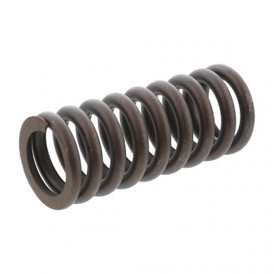 INTAKE VALVE SPRING (Pack of 6)