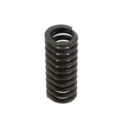 VALVE SPRING (Pack of 6)