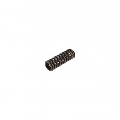 VALVE SPRING (Pack of 6)