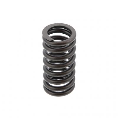 OUTER VALVE SPRING (Pack of 6)