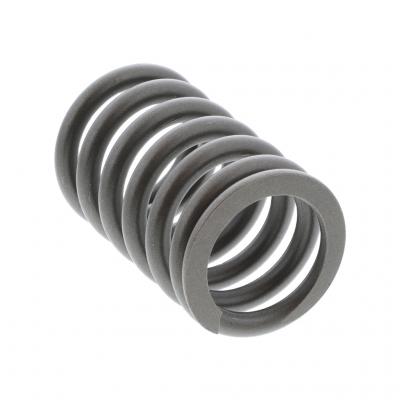 OUTER VALVE SPRING (Pack of 6)