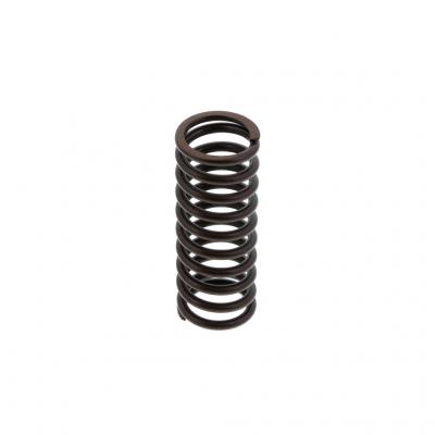 INNER VALVE SPRING (Pack of 2)