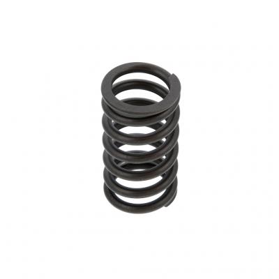 OUTER VALVE SPRING (Pack of 2)