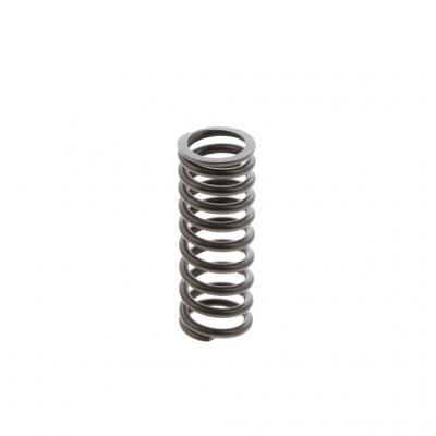 INNER VALVE SPRING (Pack of 2)