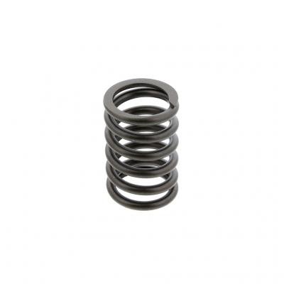 VALVE SPRING (Pack of 6)