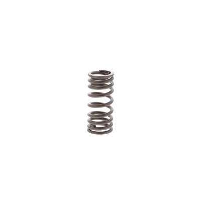 OUTER VALVE SPRING (Pack of 6)