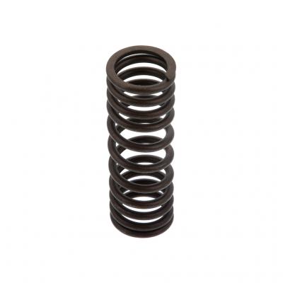 INNER VALVE SPRING (Pack of 6)