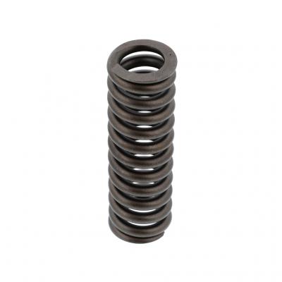 EXHAUST VALVE SPRING (Pack of 6)