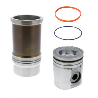 CYLINDER KIT W/O RINGS