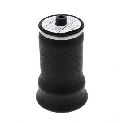 AIR SPRING