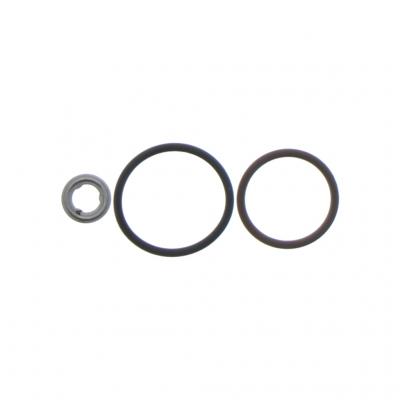INJECTOR SEAL KIT
