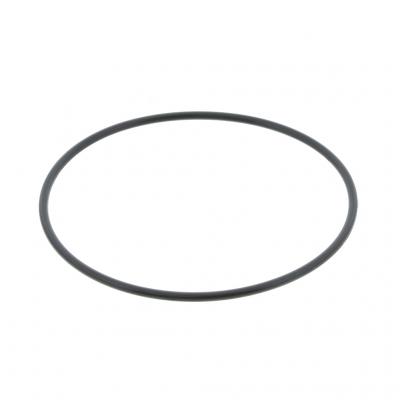 O-RING (Pack of 5)