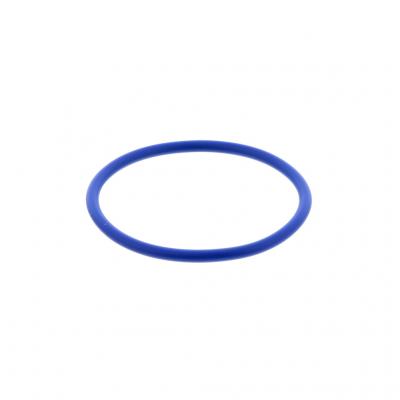 THERMOSTAT SEAL (O-RING)