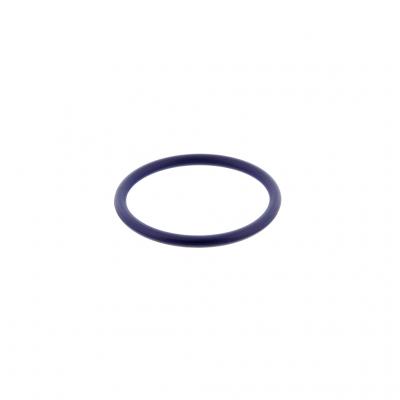 O-RING (Pack of 10)