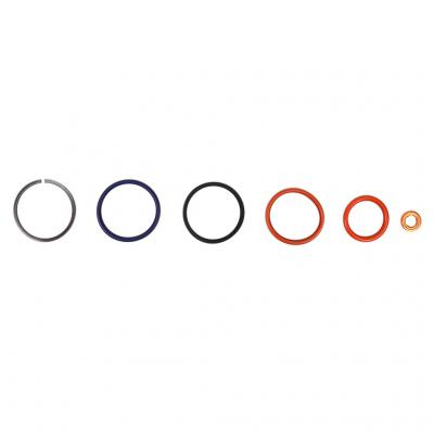INJECTOR SEAL AND RING KIT