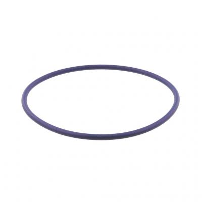O-RING (Pack of 5)